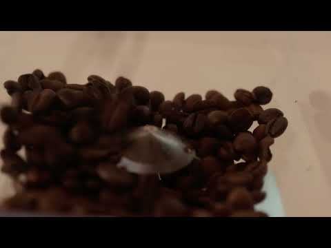 El Rico Manus S 家用半自動咖啡機